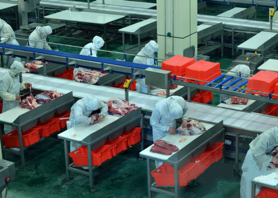 China Melhore a linha de produção rachada da carne/a linha de processamento 100-300 gado pela velocidade da hora fornecedor