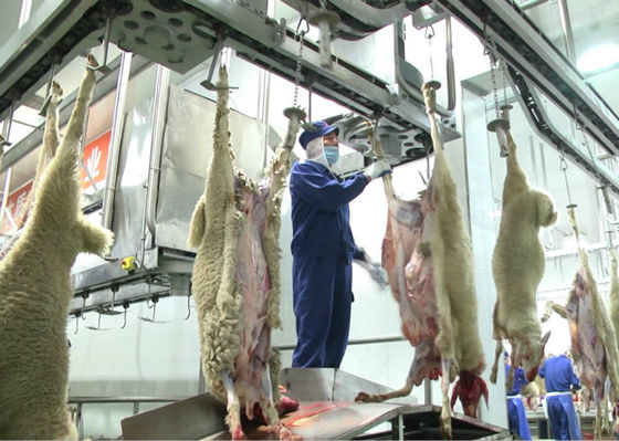 China Linha de produção rachada da carne do cordeiro, linha de produção industrial transformação mais ulterior fornecedor