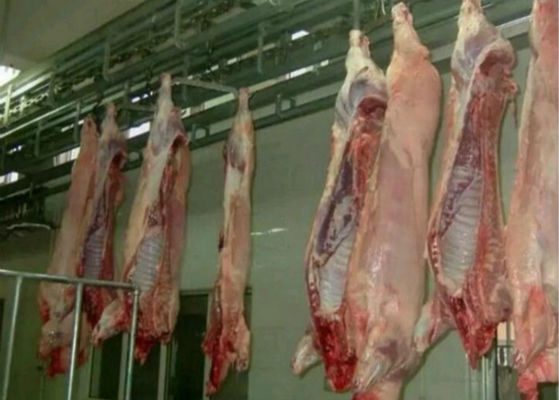 China Linha de produção rachada sistema de controlo da carne das aves domésticas da carne de porco do PLC do equipamento do matadouro  fornecedor