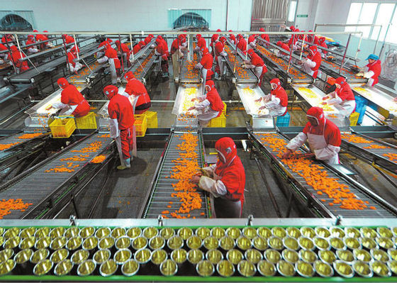 China Linha de produção plástica das conservas alimentares do copo, equipamento de processamento das frutas e legumes fornecedor