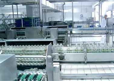 China O vidro engarrafou a linha de produção do leite da noz/amendoim do equipamento de processamento da bebida fornecedor