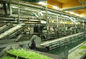 Linha de produção alimentar da geleia, eficiência elevada da máquina de empacotamento dos produtos alimentares fornecedor