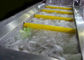 Tipo industrial da escova da máquina do líquido de limpeza das frutas e legumes/máquina da arruela fornecedor