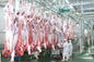 Melhore a linha de produção rachada da carne/a linha de processamento 100-300 gado pela velocidade da hora fornecedor