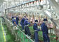 Linha de produção rachada da carne do cordeiro, linha de produção industrial transformação mais ulterior fornecedor