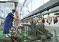 Linha de produção rachada chacina da carne da carne de carneiro da cabra que transporta o tipo de processamento inteiro fornecedor