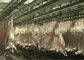Linha de produção rachada chacina da carne da carne de carneiro da cabra que transporta o tipo de processamento inteiro fornecedor