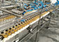 Linha de produção plástica das conservas alimentares do copo, equipamento de processamento das frutas e legumes fornecedor