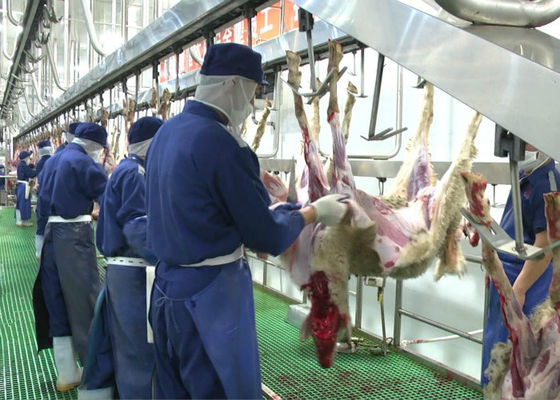 China Linha de produção rachada chacina da carne da carne de carneiro da cabra que transporta o tipo de processamento inteiro fornecedor