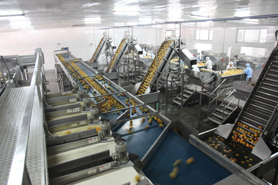 China Linha de produção 100-300 latas inteiramente semi automáticas da lata de lata do alimento pela alta velocidade da hora fornecedor