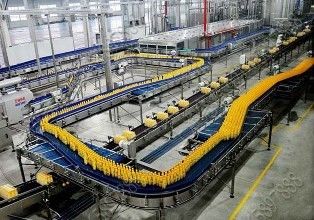 Linha de produção da bebida do vegetal/fruto, linha de produção de engarrafamento economia de energia fornecedor